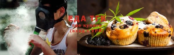 ECSTASY Алзамай