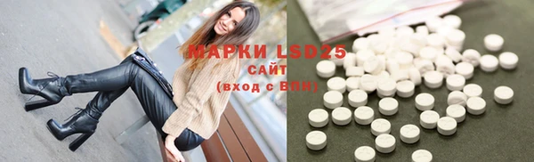 ECSTASY Алзамай