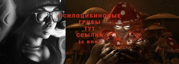 ECSTASY Алзамай
