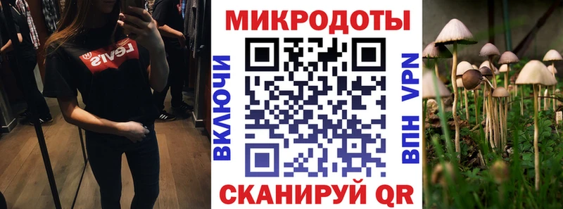 Купить закладки  Кисловодск  Псилоцибиновые грибы мицелий 